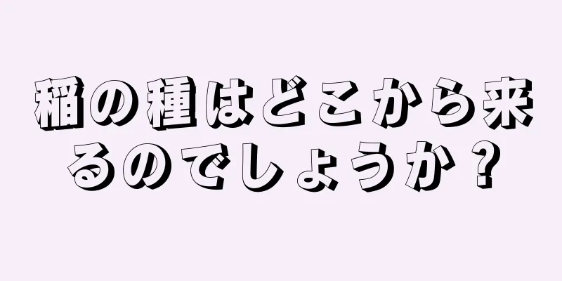 稲の種はどこから来るのでしょうか？