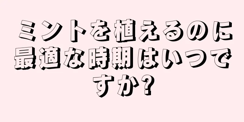 ミントを植えるのに最適な時期はいつですか?