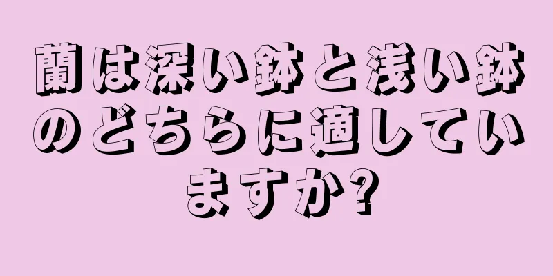 蘭は深い鉢と浅い鉢のどちらに適していますか?