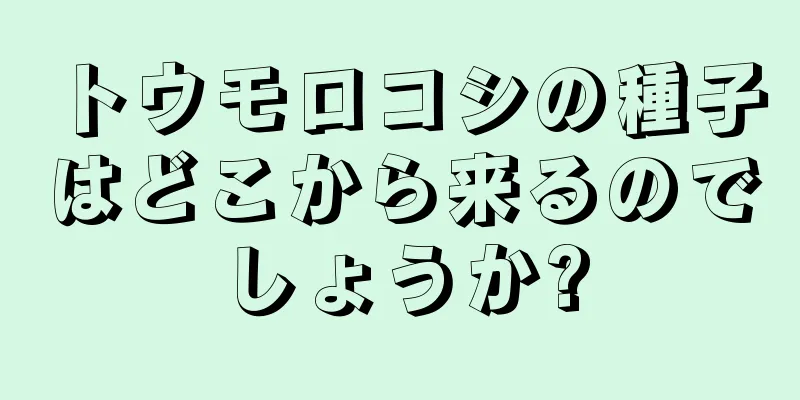 トウモロコシの種子はどこから来るのでしょうか?