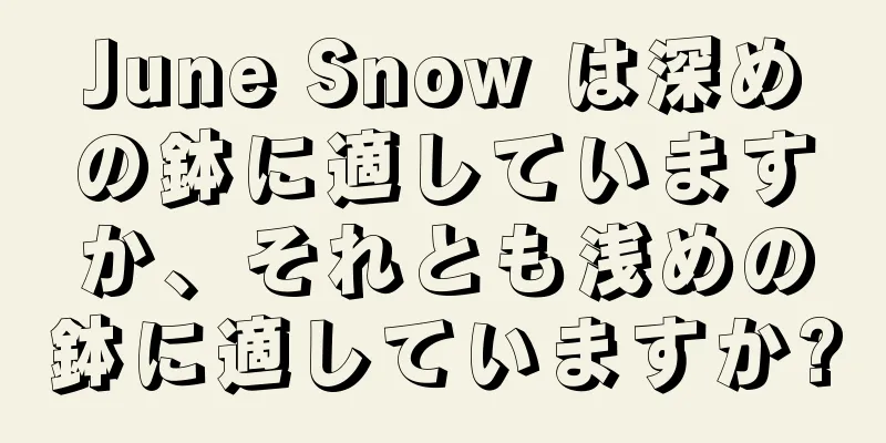 June Snow は深めの鉢に適していますか、それとも浅めの鉢に適していますか?