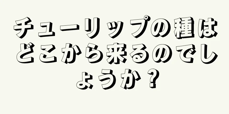 チューリップの種はどこから来るのでしょうか？