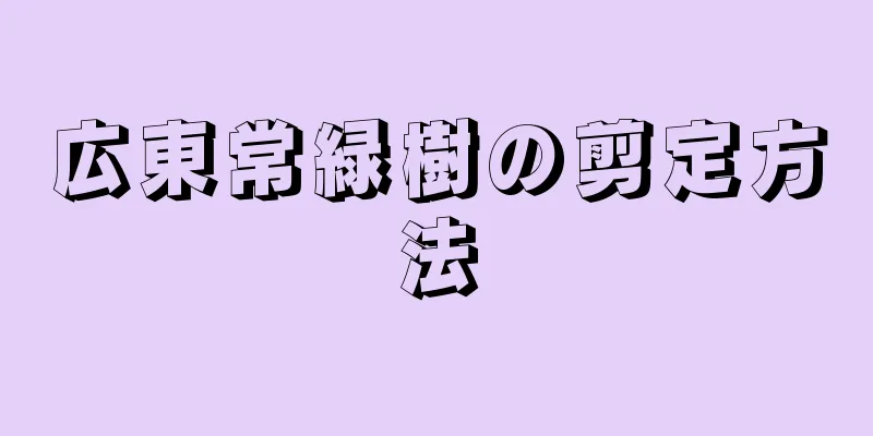 広東常緑樹の剪定方法