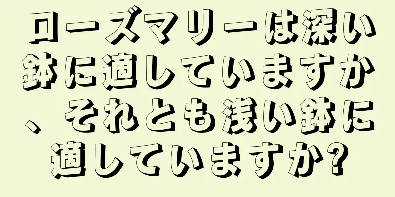 ローズマリーは深い鉢に適していますか、それとも浅い鉢に適していますか?