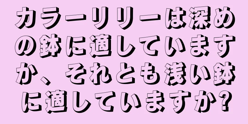 カラーリリーは深めの鉢に適していますか、それとも浅い鉢に適していますか?