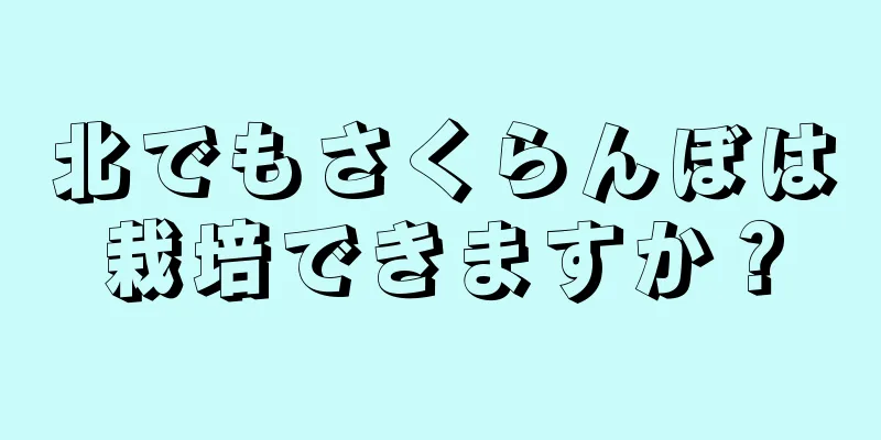 北でもさくらんぼは栽培できますか？