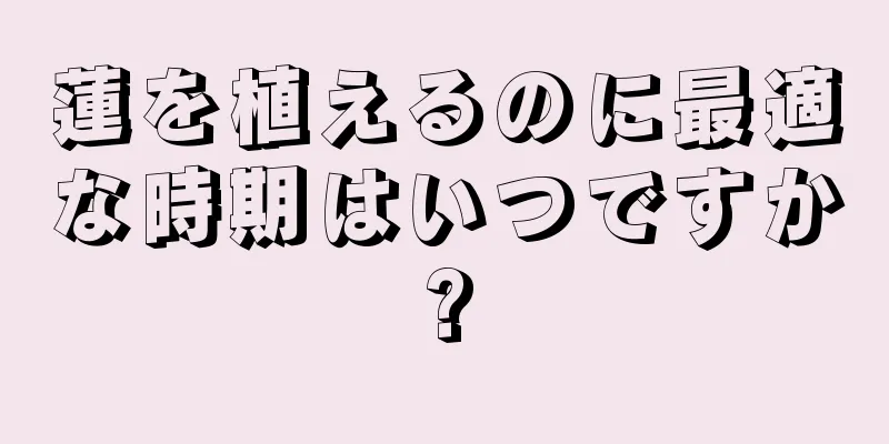 蓮を植えるのに最適な時期はいつですか?