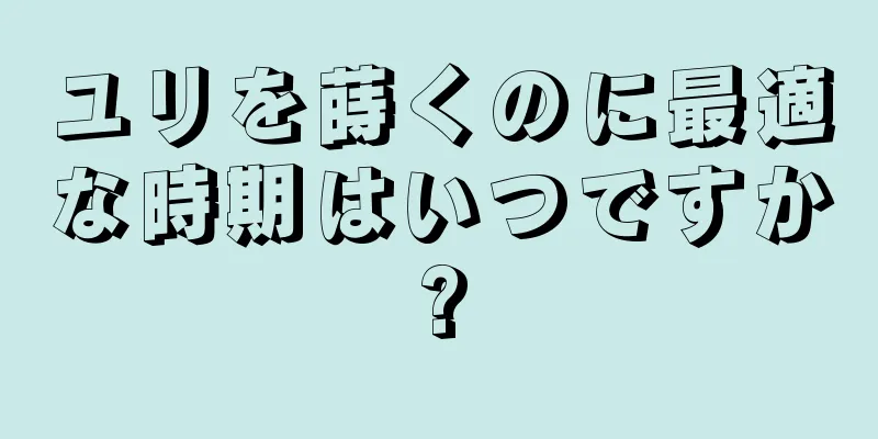 ユリを蒔くのに最適な時期はいつですか?