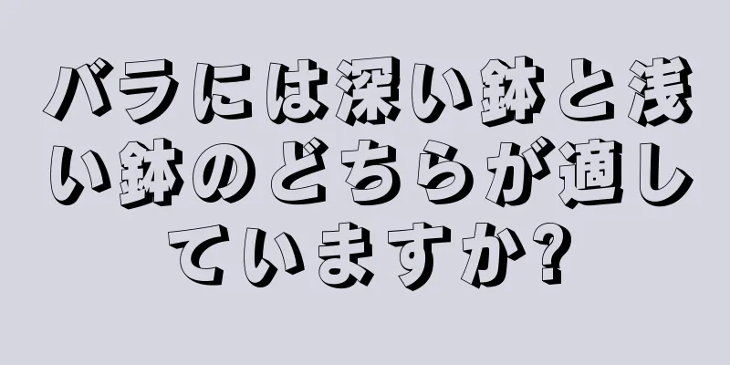 バラには深い鉢と浅い鉢のどちらが適していますか?