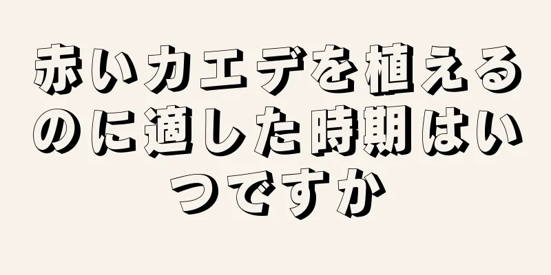 赤いカエデを植えるのに適した時期はいつですか