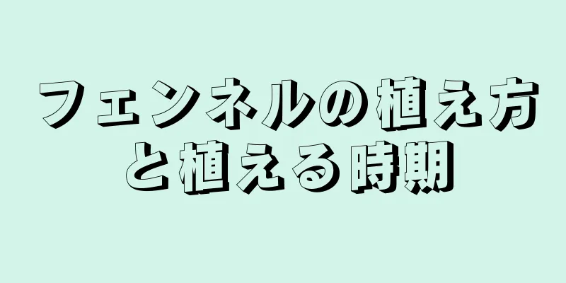 フェンネルの植え方と植える時期