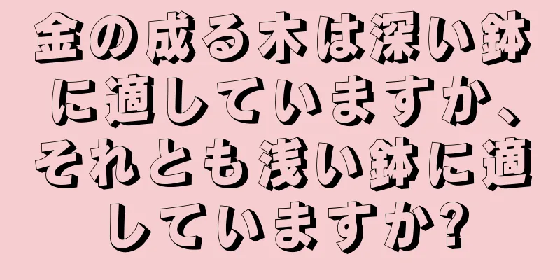 金の成る木は深い鉢に適していますか、それとも浅い鉢に適していますか?