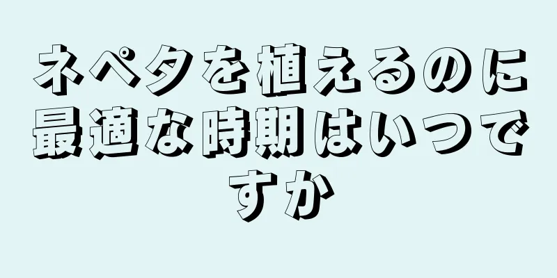 ネペタを植えるのに最適な時期はいつですか