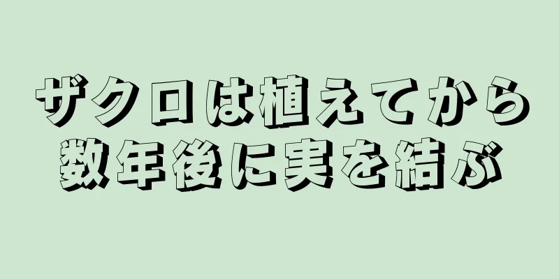 ザクロは植えてから数年後に実を結ぶ
