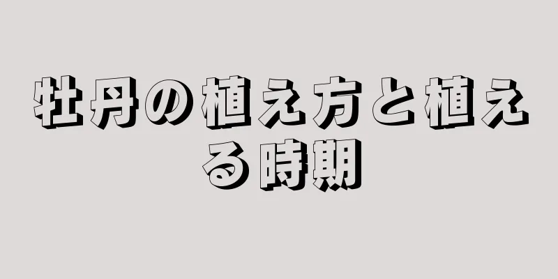 牡丹の植え方と植える時期