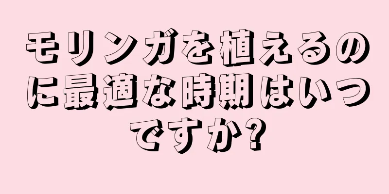 モリンガを植えるのに最適な時期はいつですか?