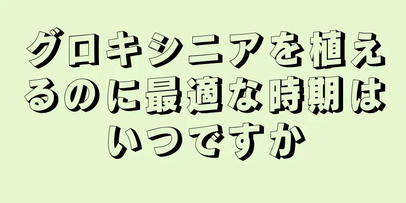 グロキシニアを植えるのに最適な時期はいつですか