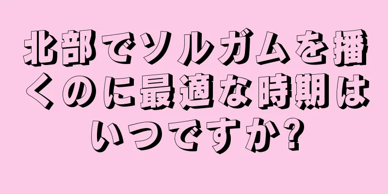北部でソルガムを播くのに最適な時期はいつですか?