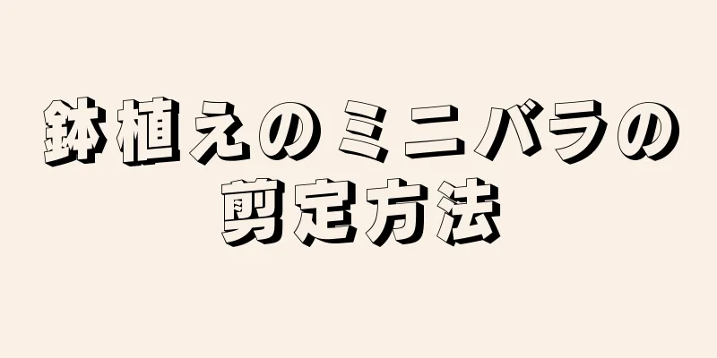 鉢植えのミニバラの剪定方法