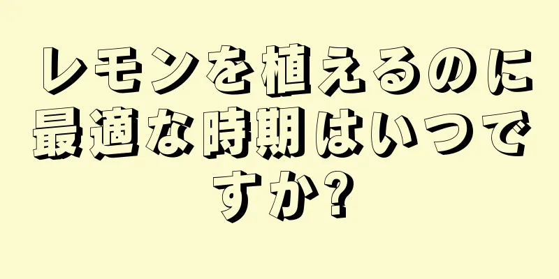 レモンを植えるのに最適な時期はいつですか?