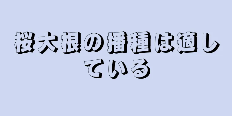 桜大根の播種は適している