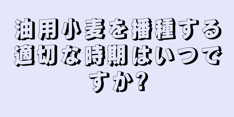 油用小麦を播種する適切な時期はいつですか?