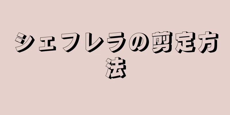 シェフレラの剪定方法