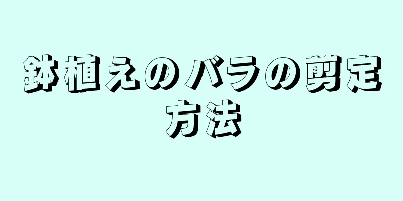 鉢植えのバラの剪定方法