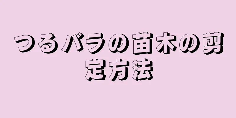 つるバラの苗木の剪定方法