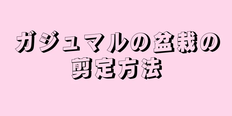 ガジュマルの盆栽の剪定方法