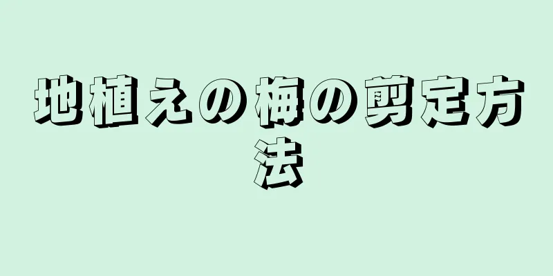 地植えの梅の剪定方法