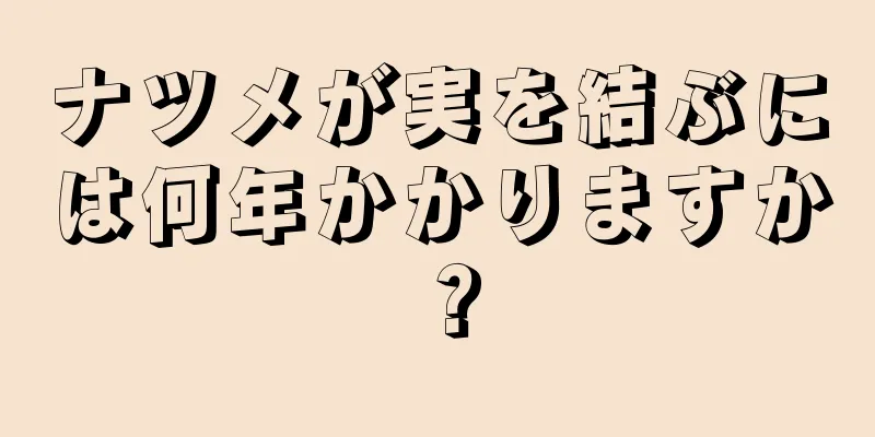 ナツメが実を結ぶには何年かかりますか？