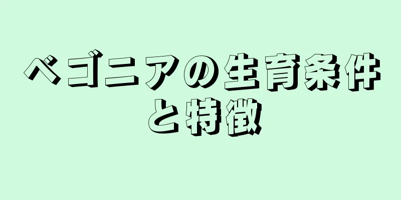 ベゴニアの生育条件と特徴