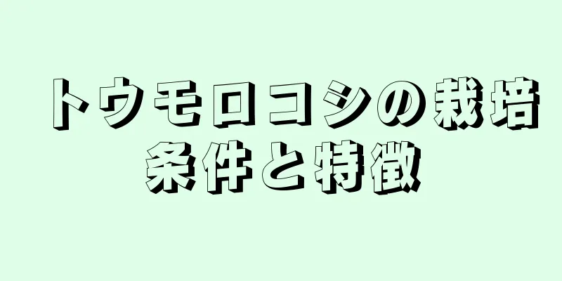 トウモロコシの栽培条件と特徴