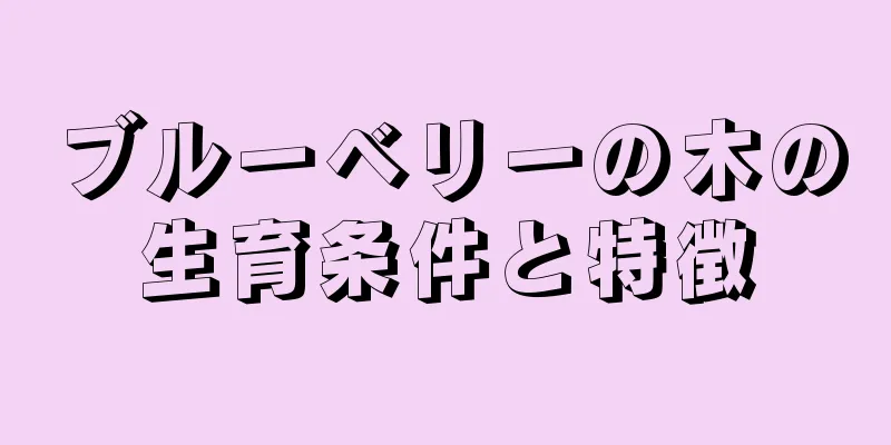 ブルーベリーの木の生育条件と特徴