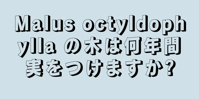Malus octyldophylla の木は何年間実をつけますか?