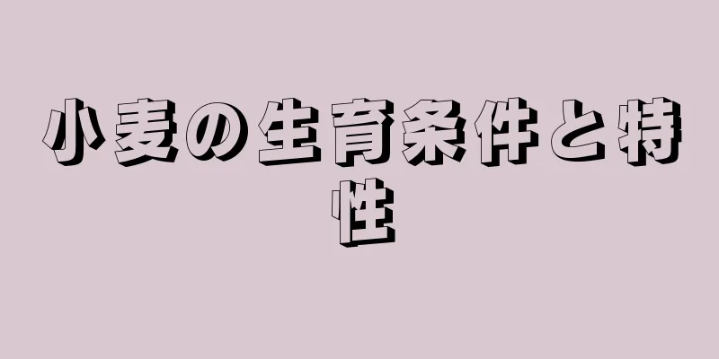 小麦の生育条件と特性