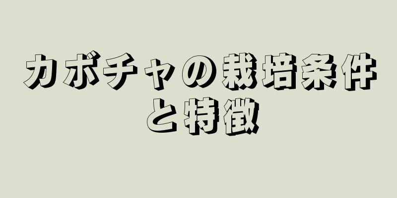 カボチャの栽培条件と特徴