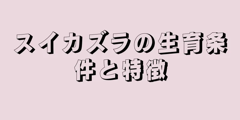 スイカズラの生育条件と特徴
