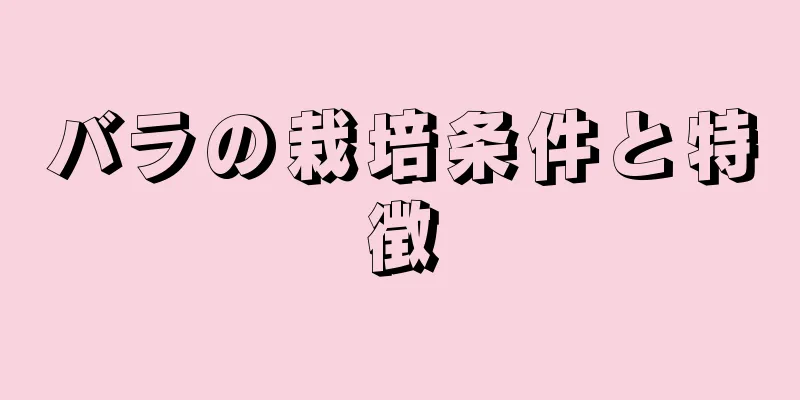 バラの栽培条件と特徴