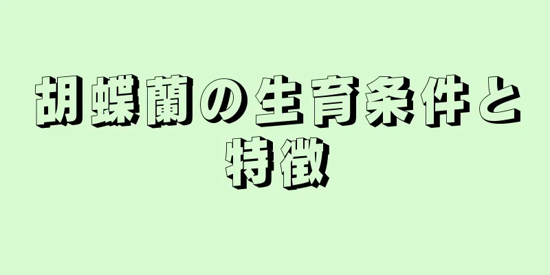 胡蝶蘭の生育条件と特徴
