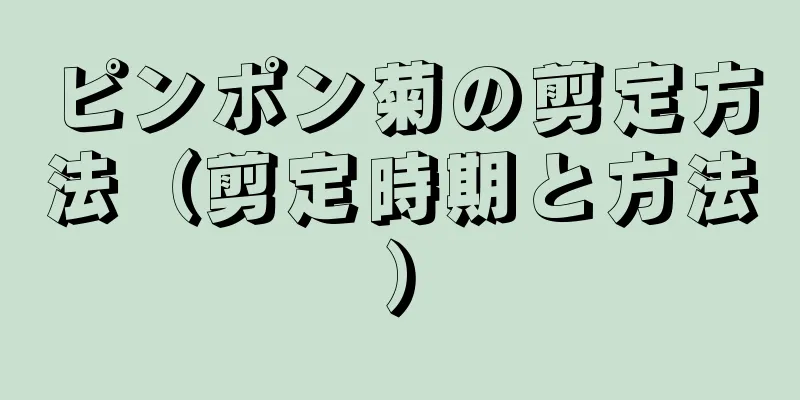 ピンポン菊の剪定方法（剪定時期と方法）