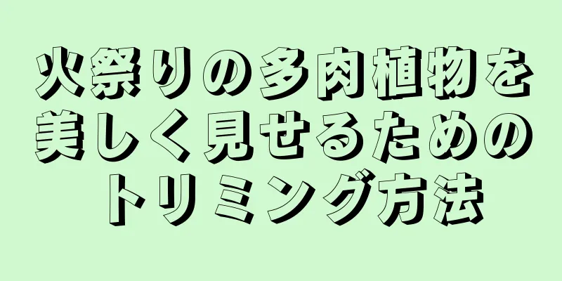 火祭りの多肉植物を美しく見せるためのトリミング方法