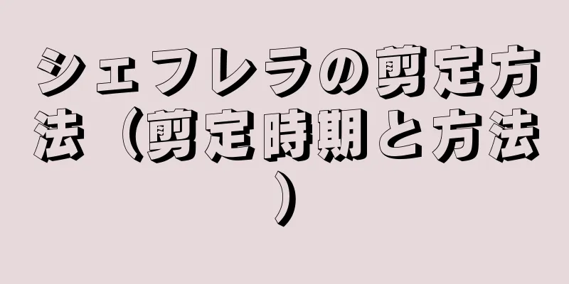 シェフレラの剪定方法（剪定時期と方法）