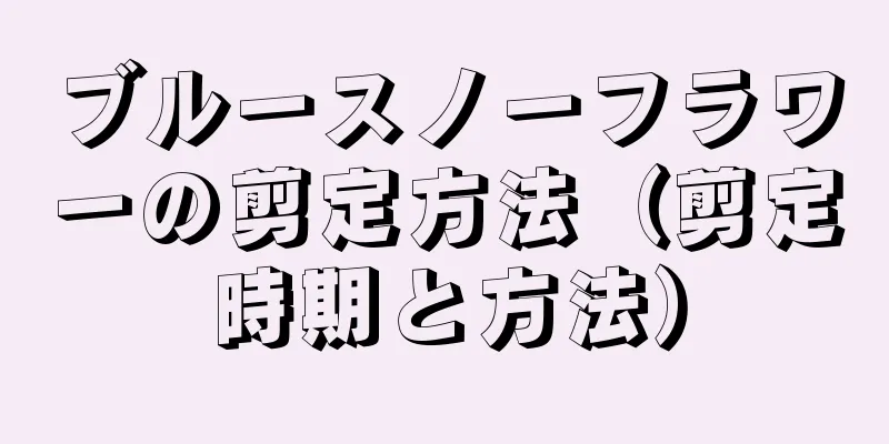 ブルースノーフラワーの剪定方法（剪定時期と方法）