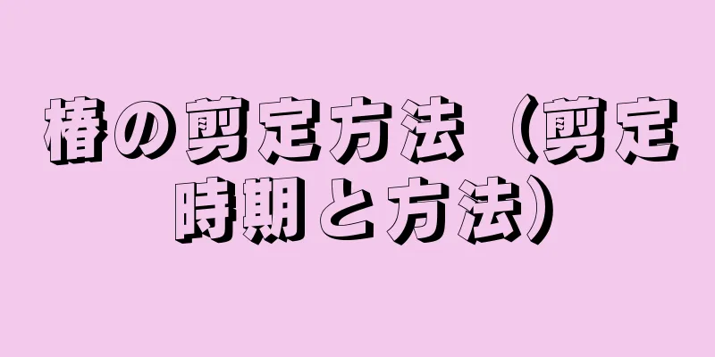椿の剪定方法（剪定時期と方法）