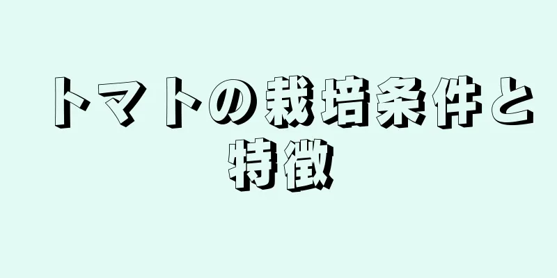 トマトの栽培条件と特徴