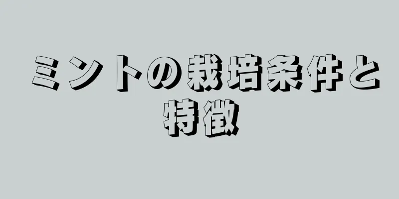 ミントの栽培条件と特徴