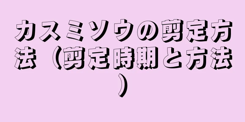 カスミソウの剪定方法（剪定時期と方法）