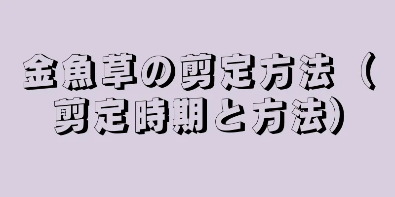 金魚草の剪定方法（剪定時期と方法）